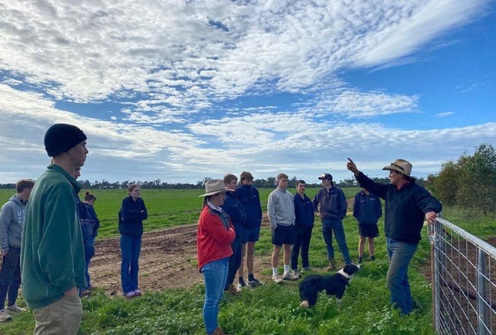 Ag in action at Pascoe’s