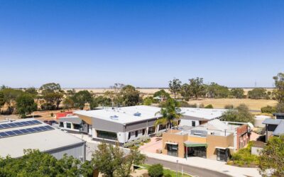 Newsletter – Term 2, Week 10