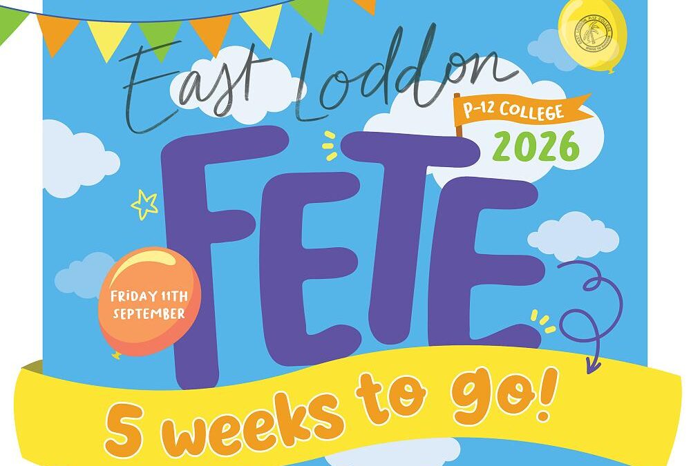 Newsletter – Term 3, Week 4